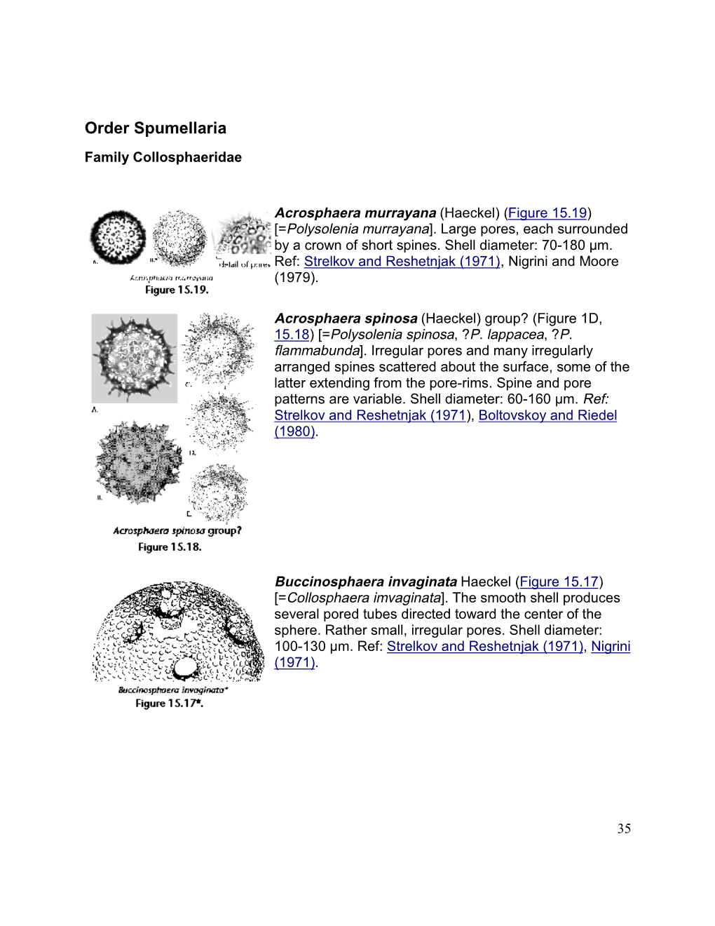 Order Spumellaria Family Collosphaeridae