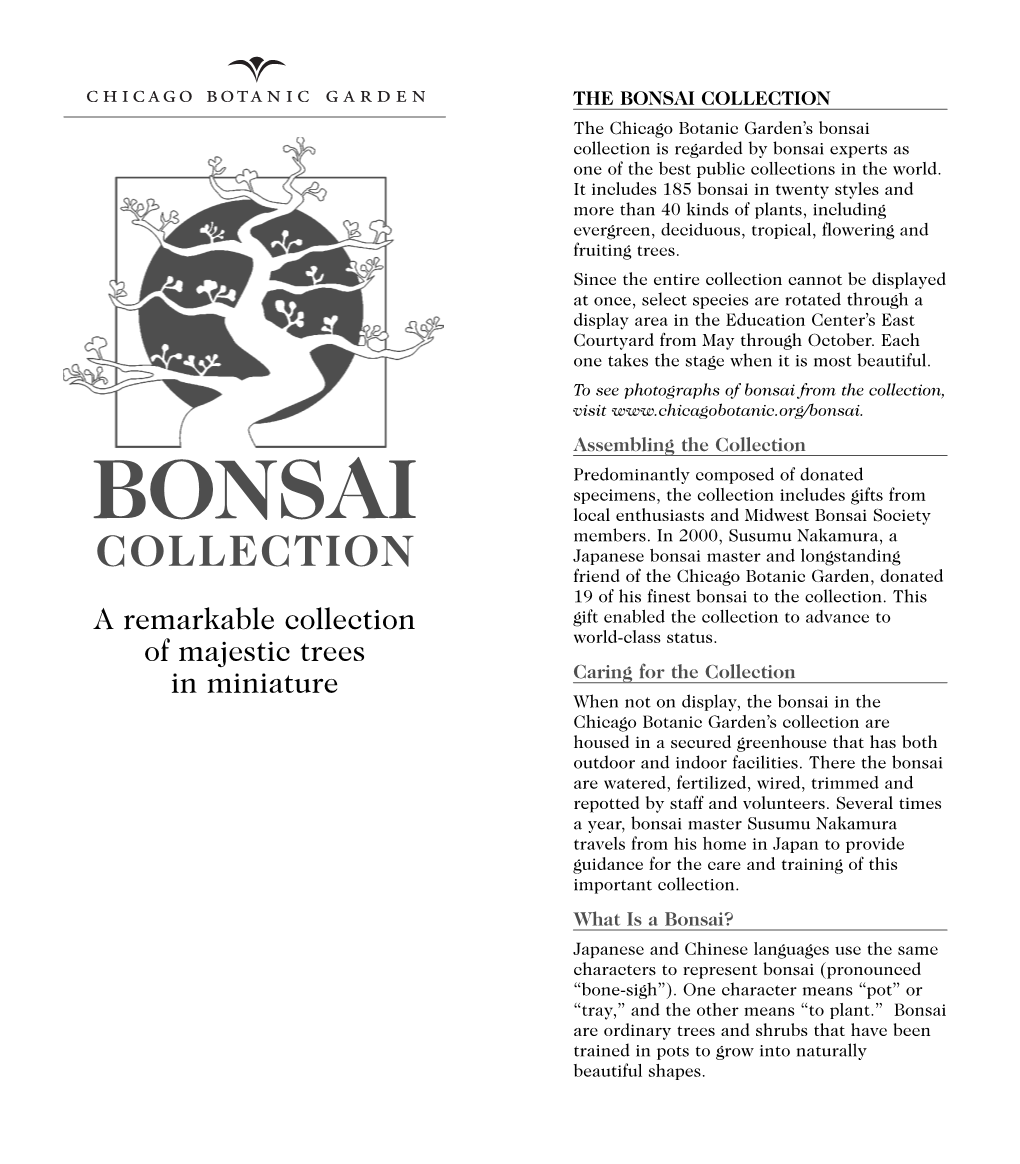 Bonsai Pdf 5/31/06 11:18 AM Page 1