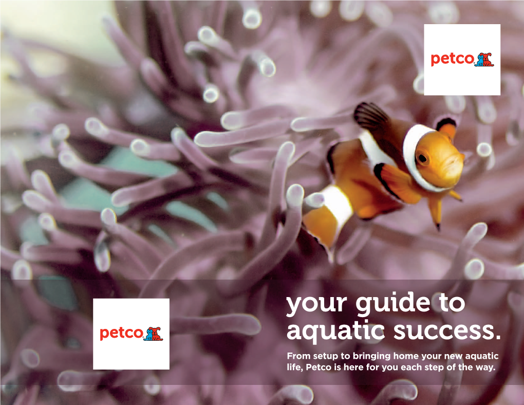 Your Guide to Aquatic Success. from Setup to Bringing Home Your New Aquatic Life, Petco Is Here for You Each Step of the Way