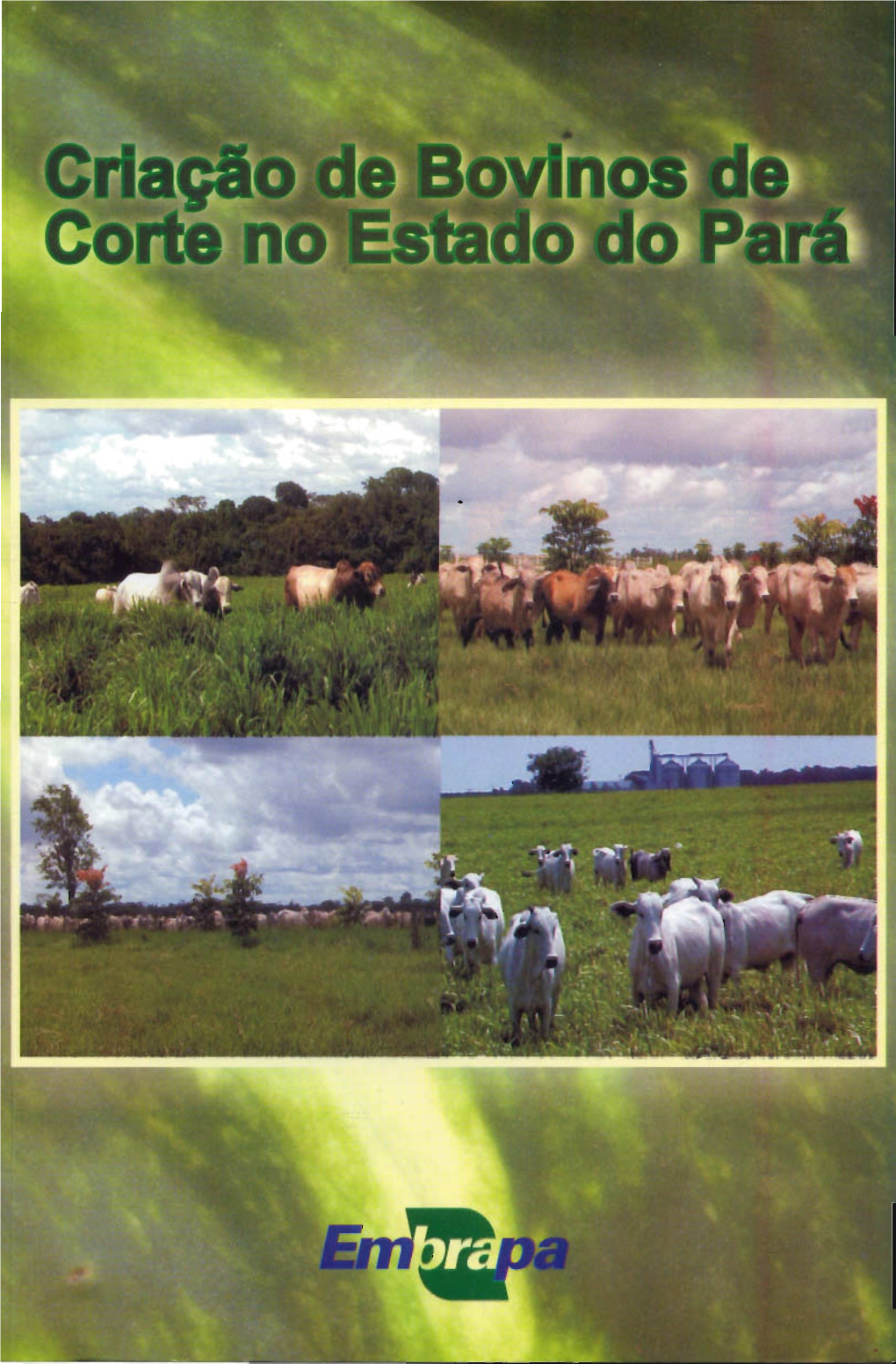 Criação De Bovinos De Corte No Estado Do Pará