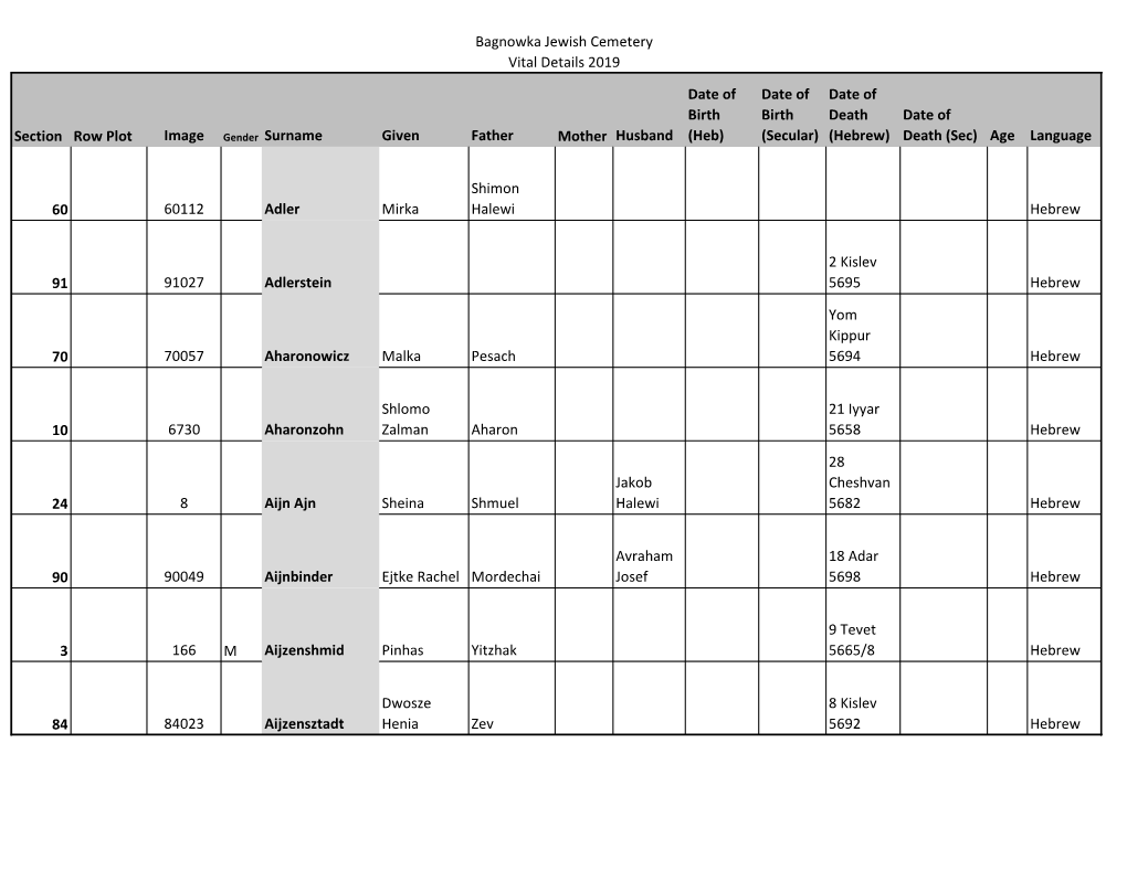 Bagnowka Jewish Cemetery Vital Details 2019