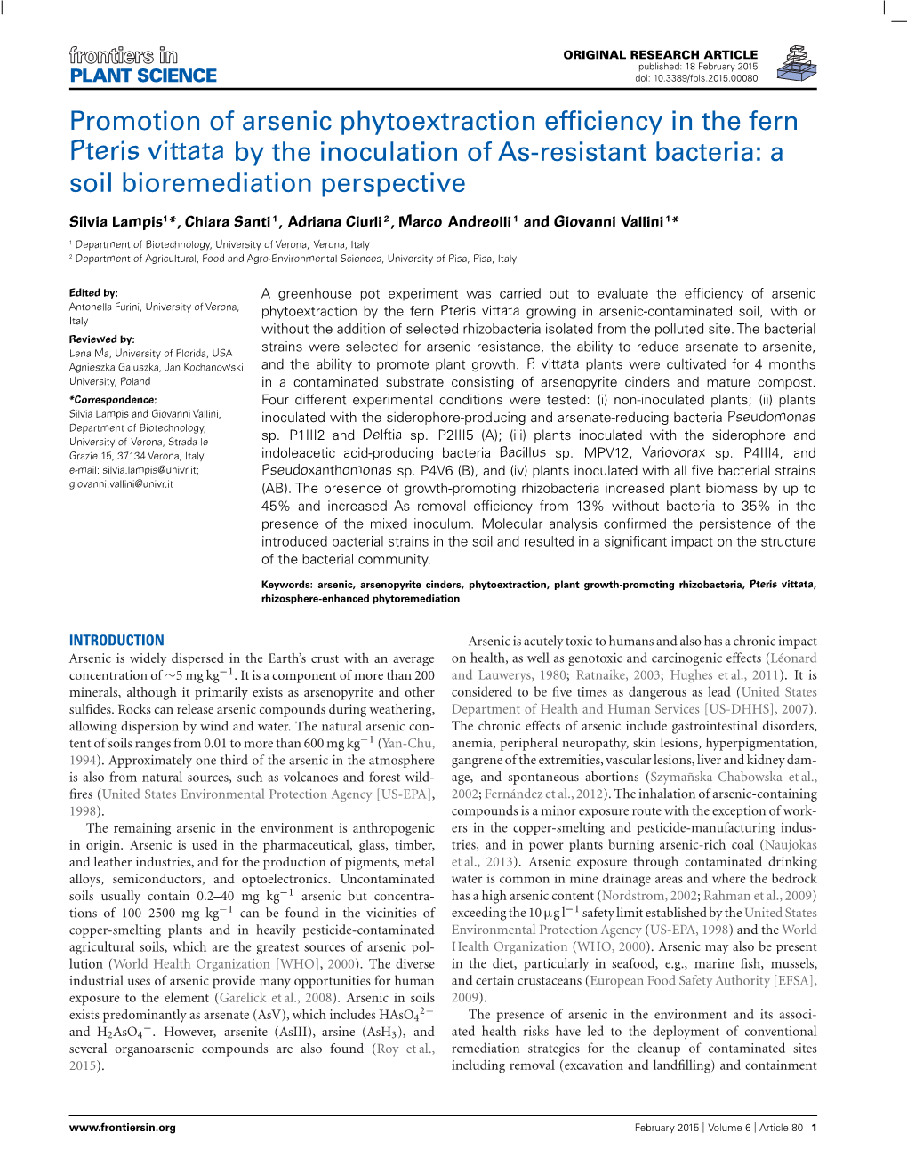 Promotion of Arsenic Phytoextraction Efficiency in the Fern