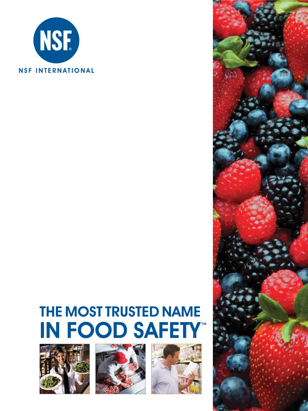 NSF International Food Safety Services