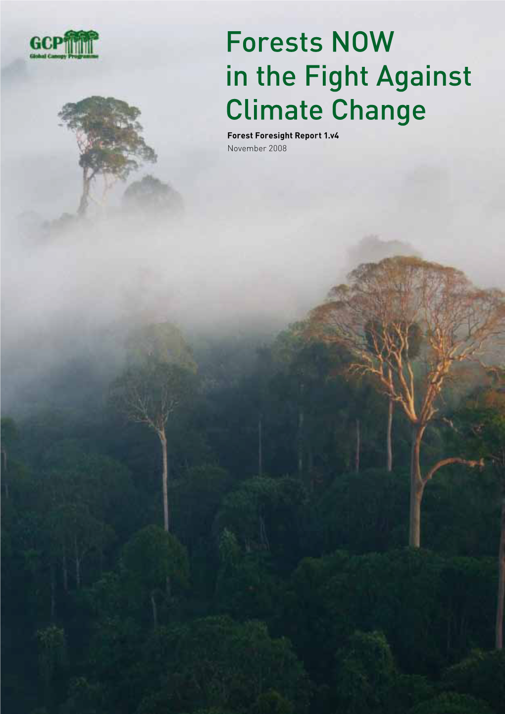 Forests NOW in the Fight Against Climate Change Forest Foresight Report 1.V4 November 2008