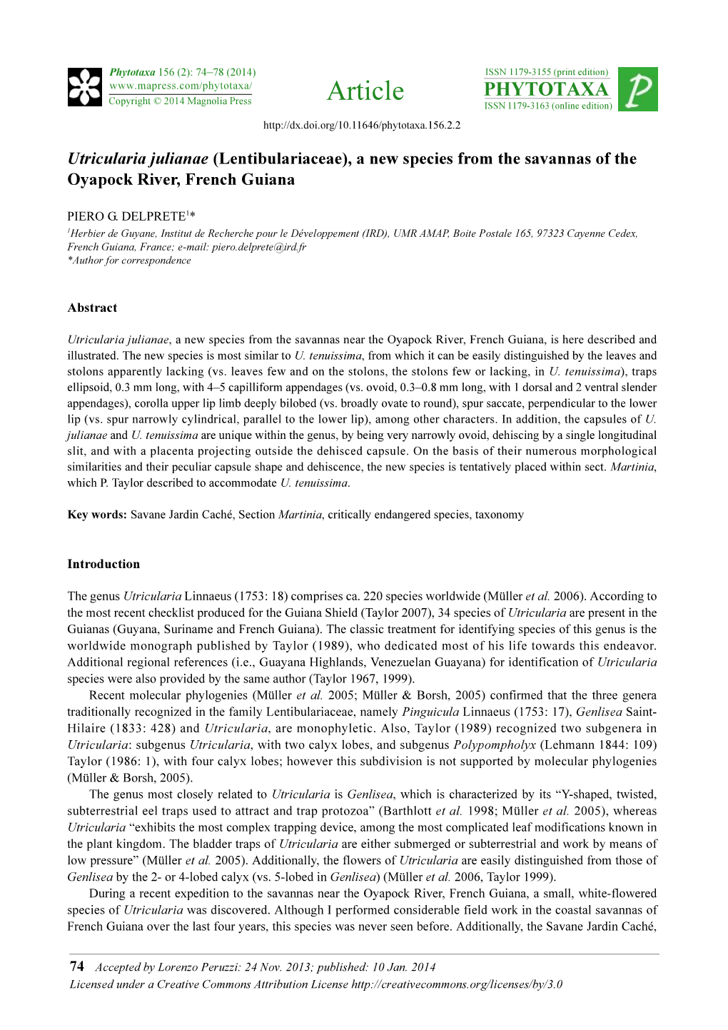 Utricularia Julianae (Lentibulariaceae), a New Species from the Savannas of the Oyapock River, French Guiana