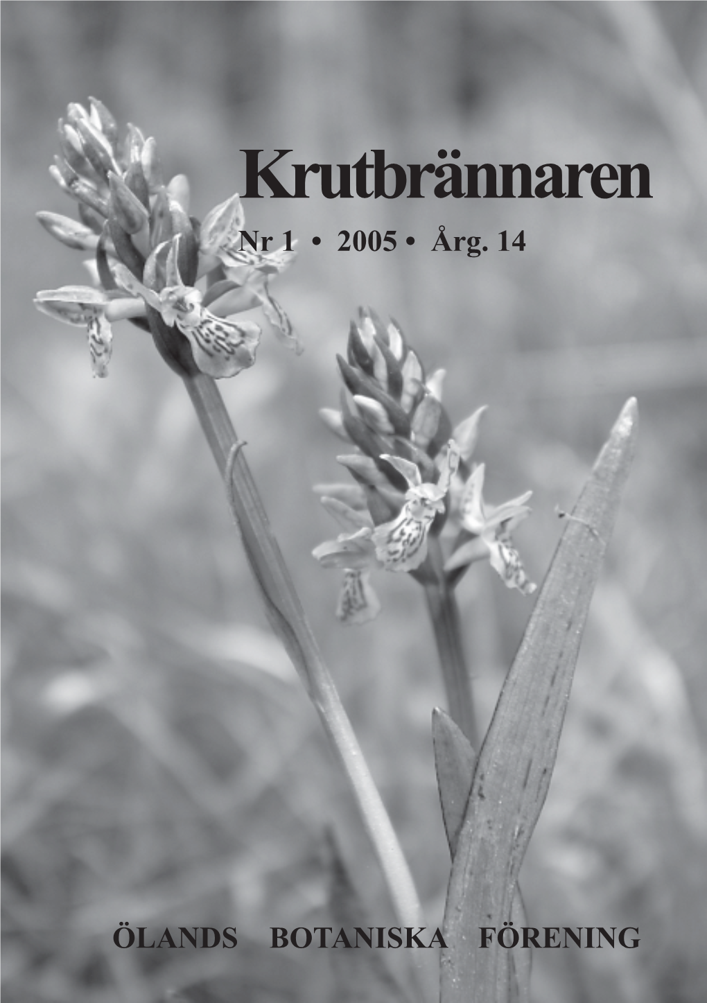 Krutbrännaren 2005-1