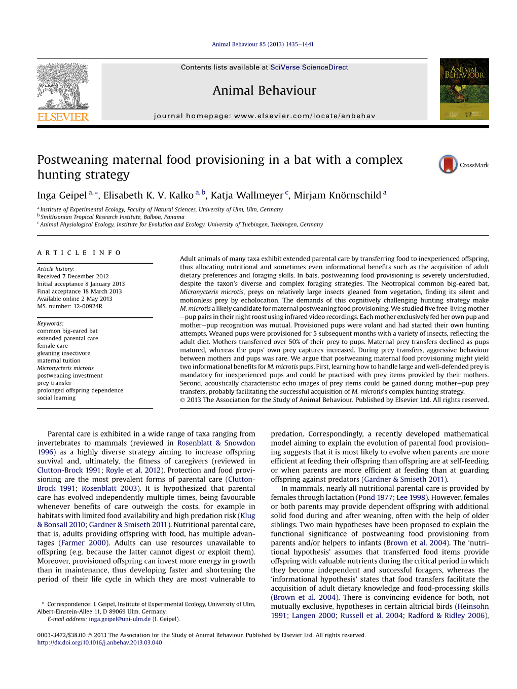 Postweaning Maternal Food Provisioning in a Bat with a Complex Hunting Strategy