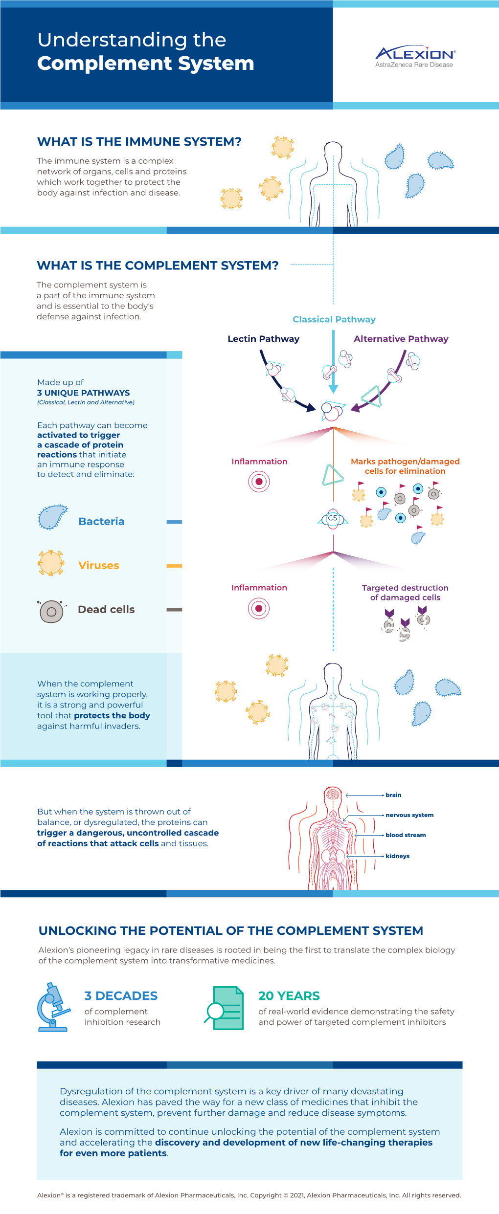 Understanding the Complement System