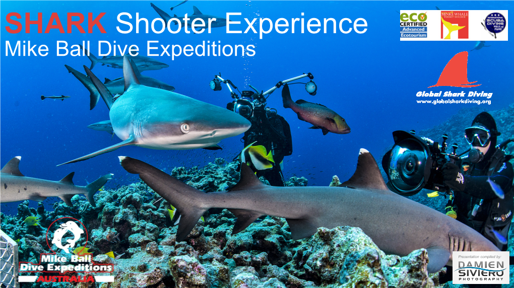 SHARK Shooter Experience Mike Ball Dive Expeditions