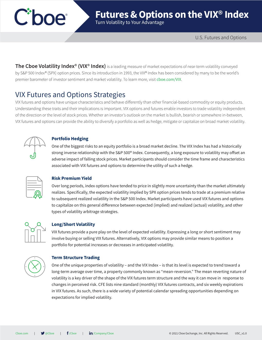 Futures & Options on the VIX® Index