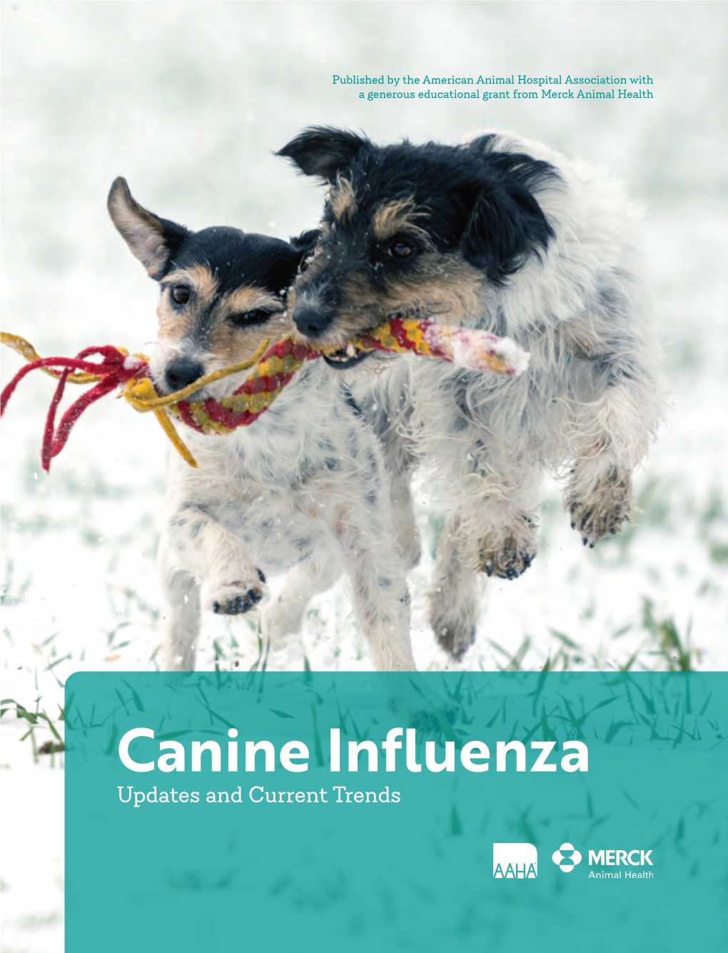 Canine Influenza Updates and Current Trends