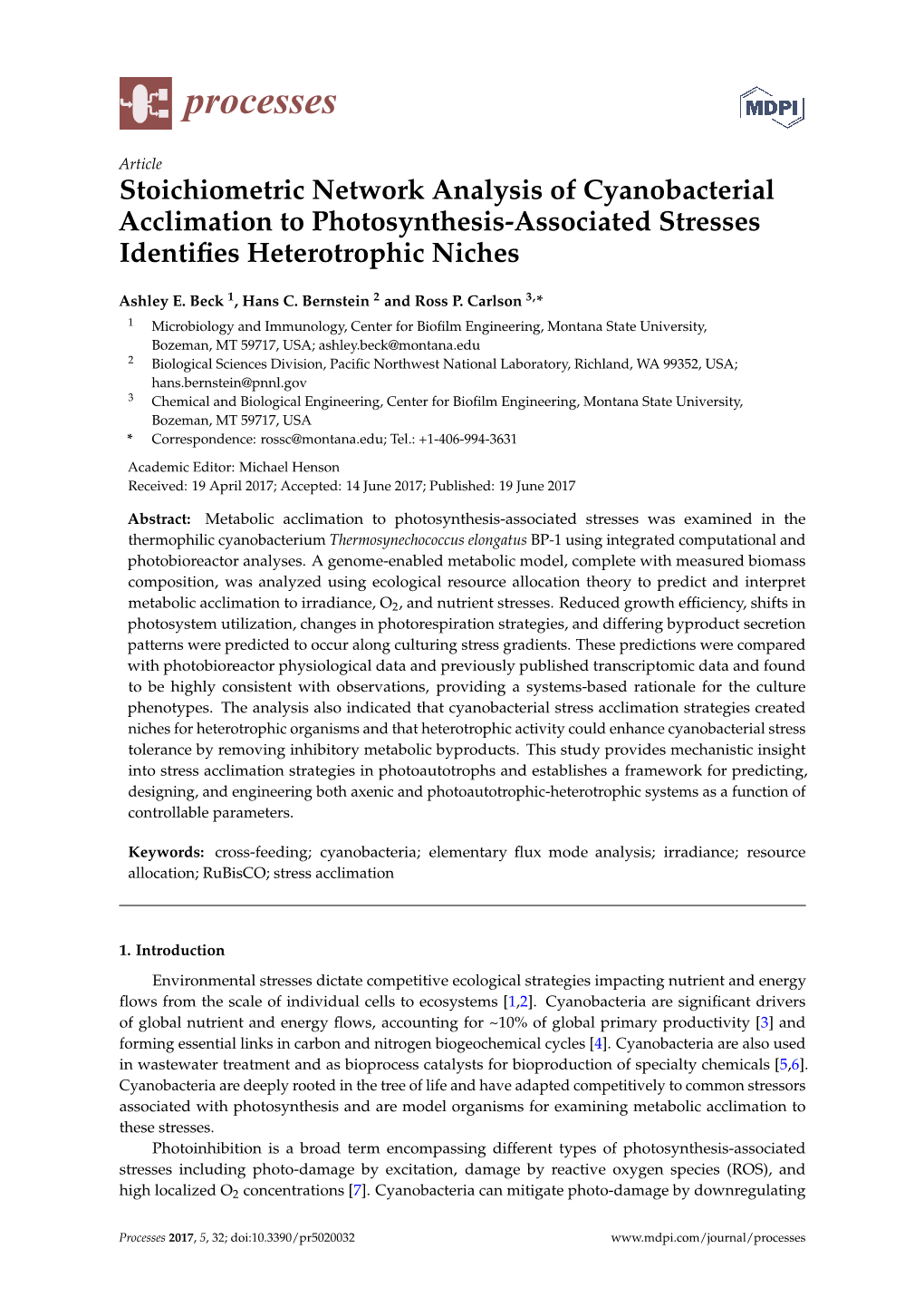 Stoichiometric Network Analysis of Cyanobacterial Acclimation to Photosynthesis-Associated Stresses Identifies Heterotrophic