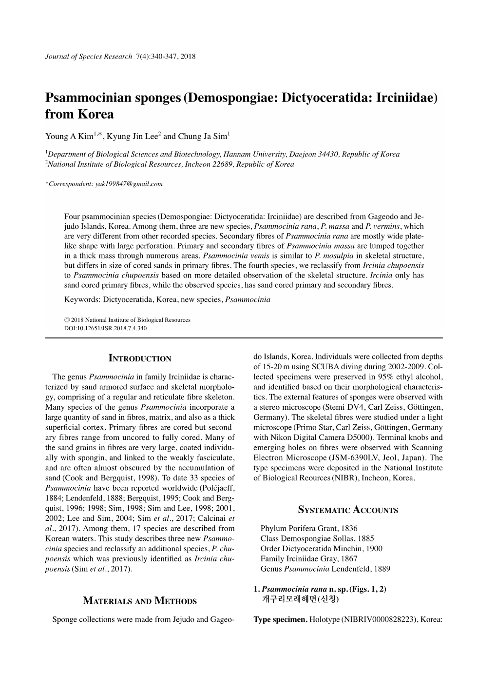 Psammocinian Sponges(Demospongiae