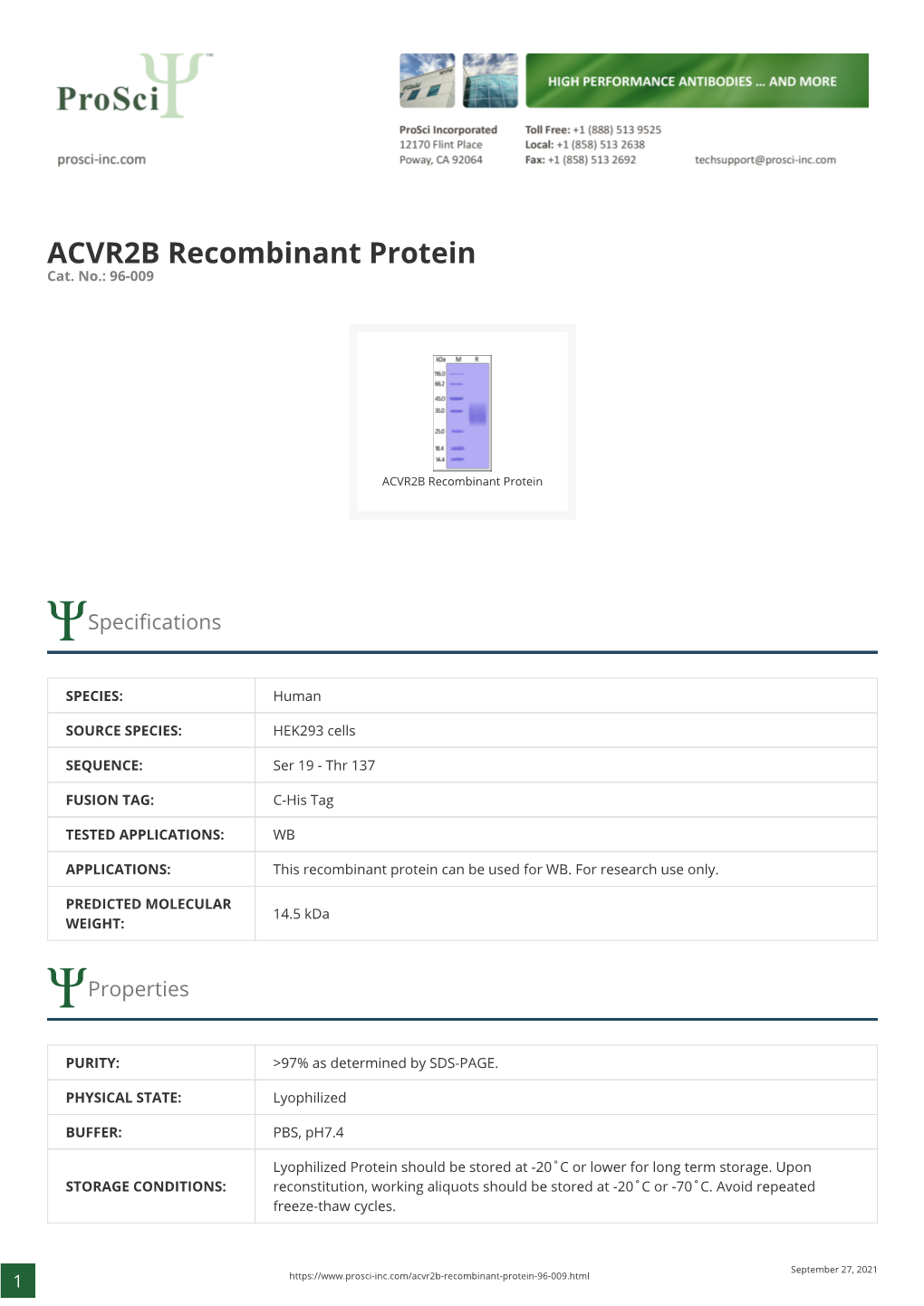 ACVR2B Recombinant Protein Cat