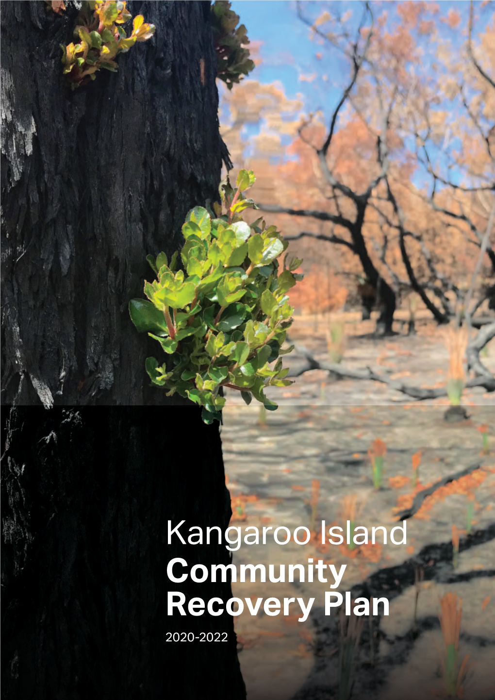 Kangaroo Island Community Recovery Plan 2020-2022