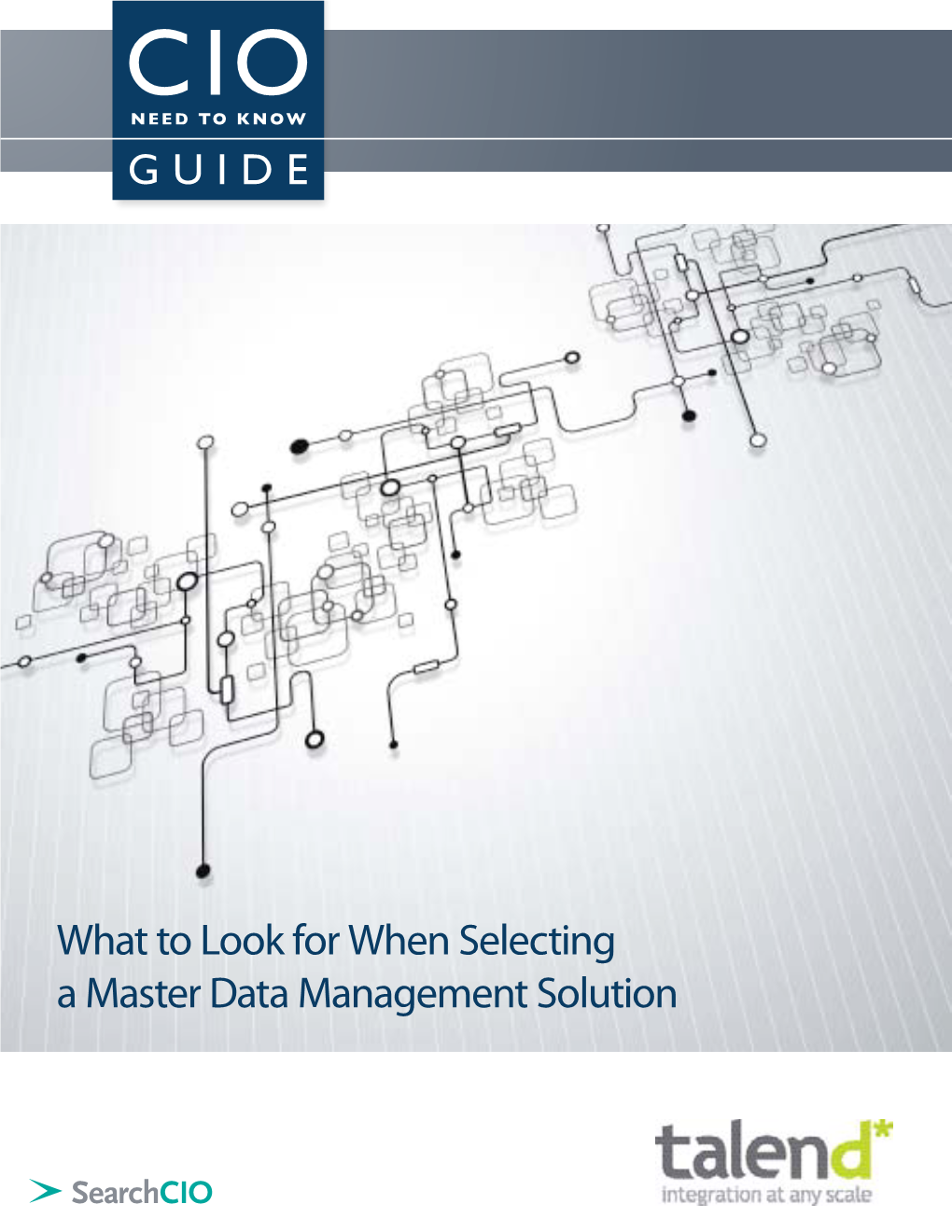 What to Look for When Selecting a Master Data Management Solution What to Look for When Selecting a Master Data Management Solution