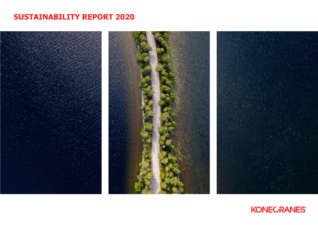 SUSTAINABILITY REPORT 2020 Introduction