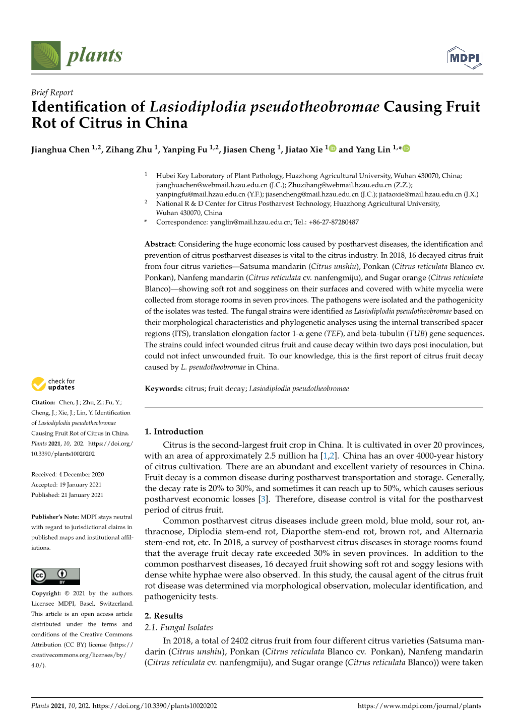 Identification of Lasiodiplodia Pseudotheobromae Causing Fruit