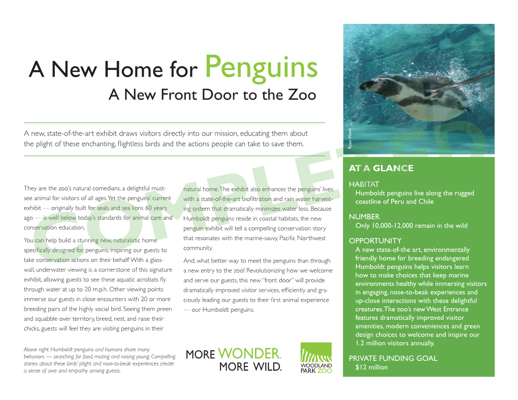 A New Home for Penguins a New Front Door to the Zoo