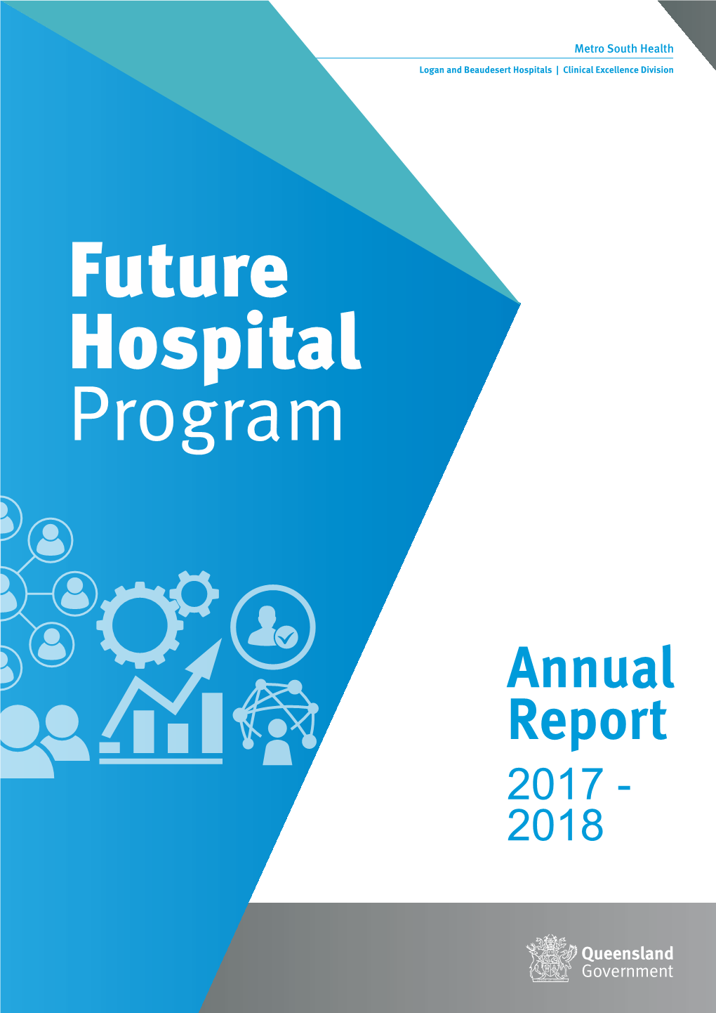 Future Hospital Program Annual Report 2017–18