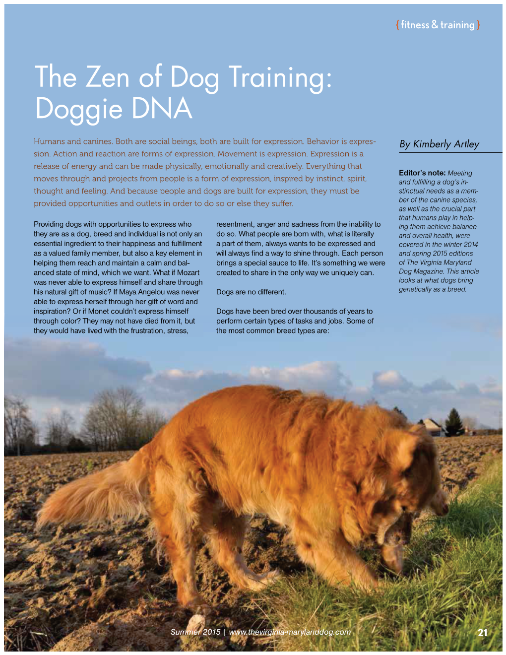 The Zen of Dog Training: Doggie DNA