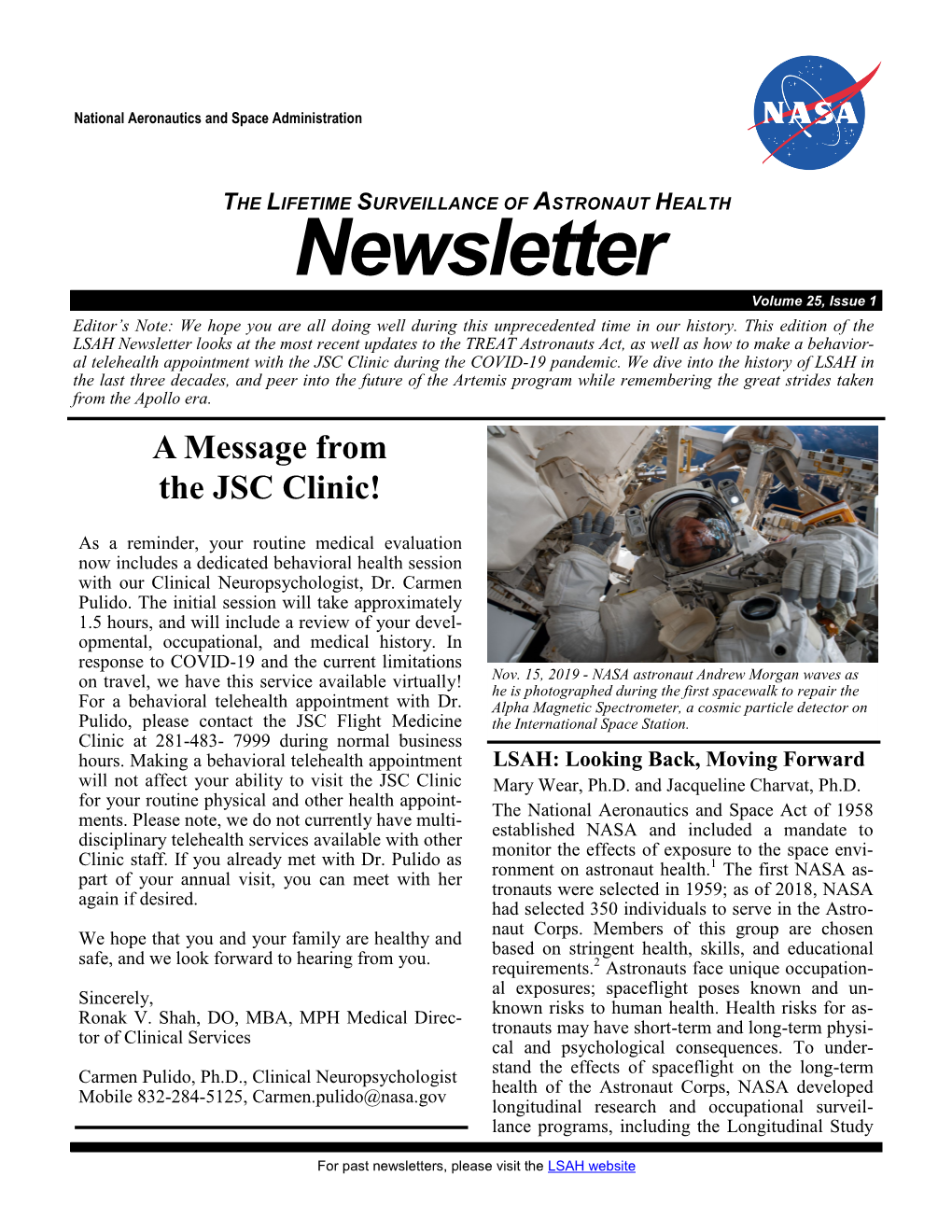 LSAH Newsletter