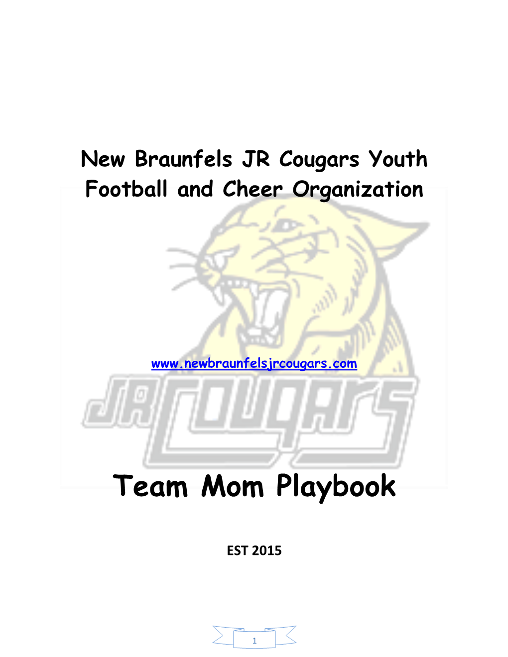 Team Mom Playbook