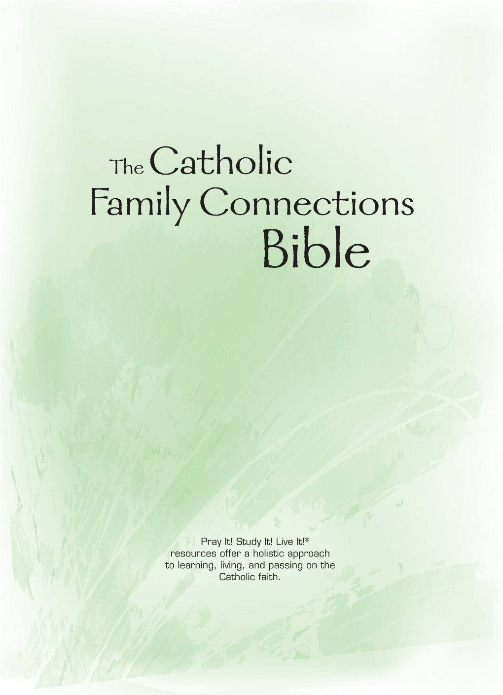 The Catholic Family Connections Bible