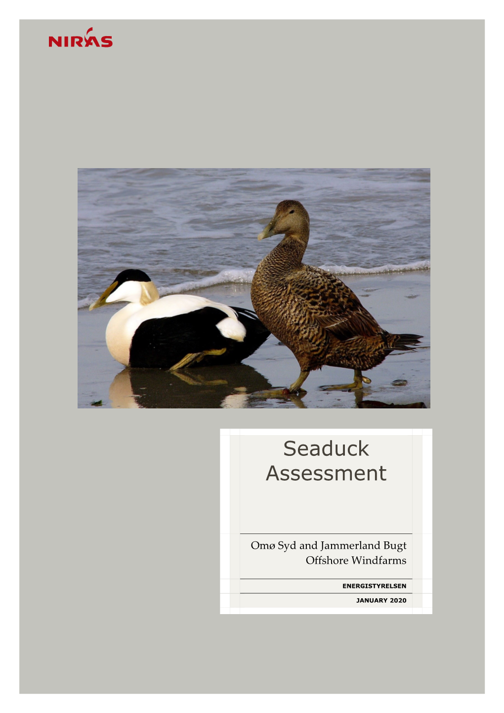 Seaduck Assessment