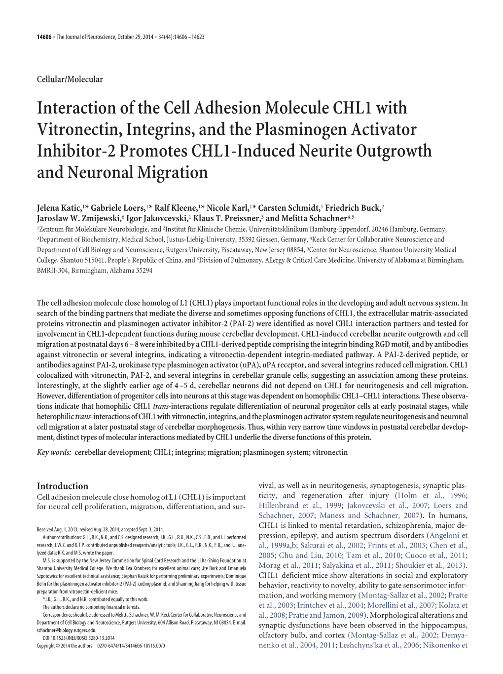 Interaction of the Cell Adhesion Molecule CHL1 with Vitronectin