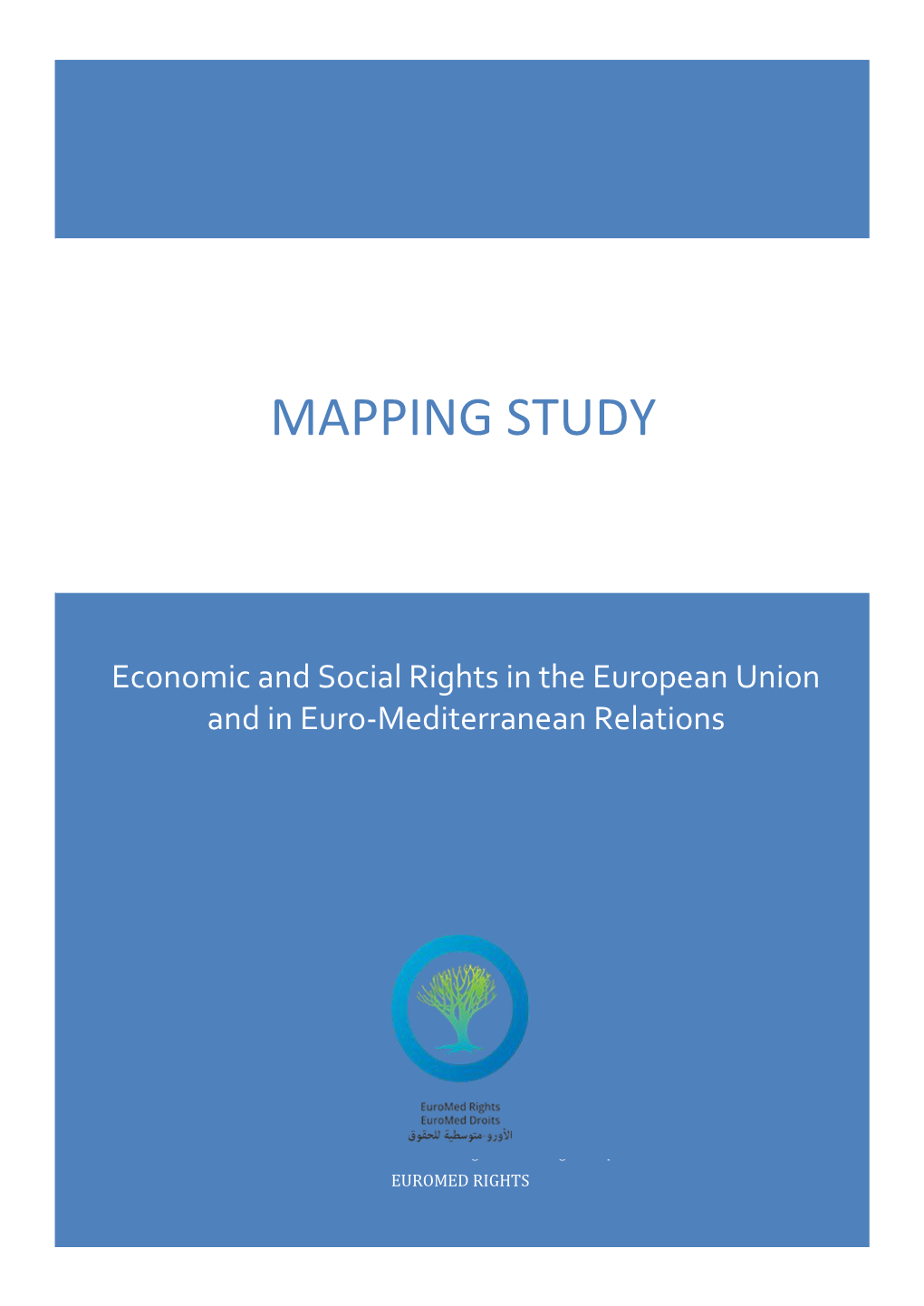 Economic and Social Rights in the European Union and in Euro-Mediterranean Relations