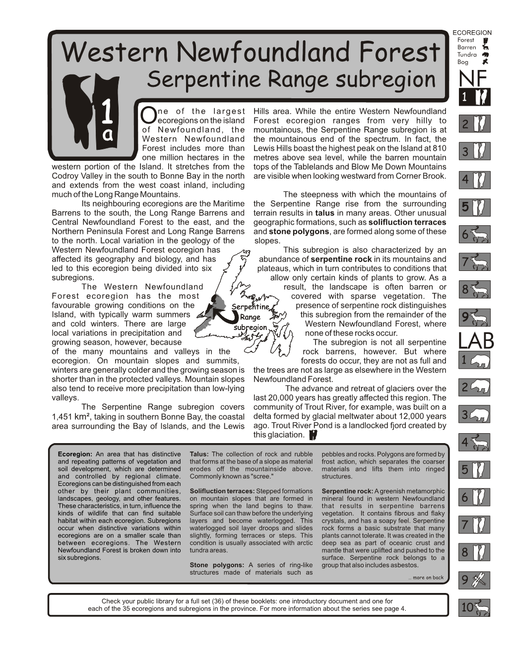 Western Newfoundland Forest – Serpentine Range Subregion