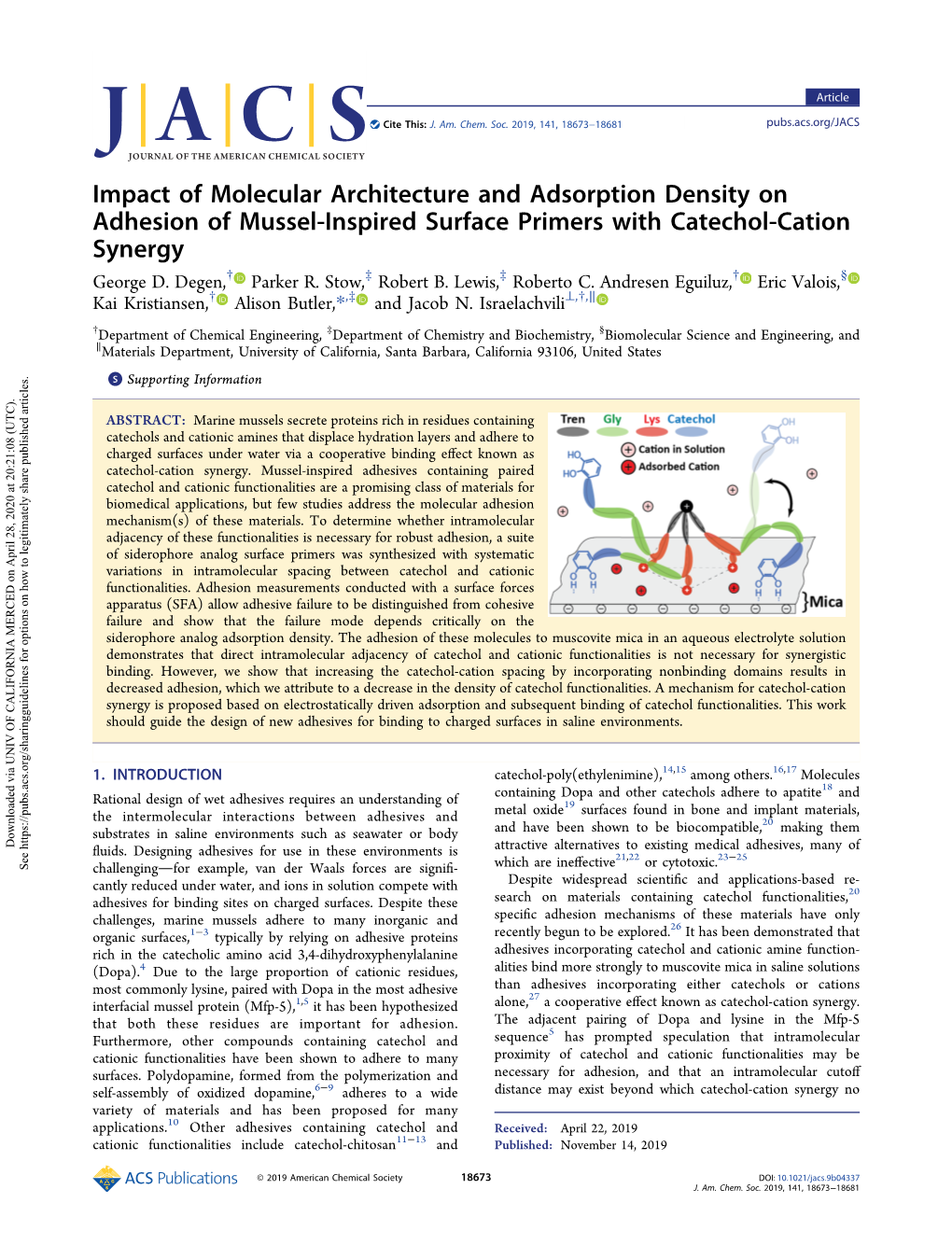 Impact of Molecular Architecture and Adsorption Density on Adhesion of Mussel-Inspired Surface Primers with Catechol-Cation Synergy † ‡ ‡ † § George D