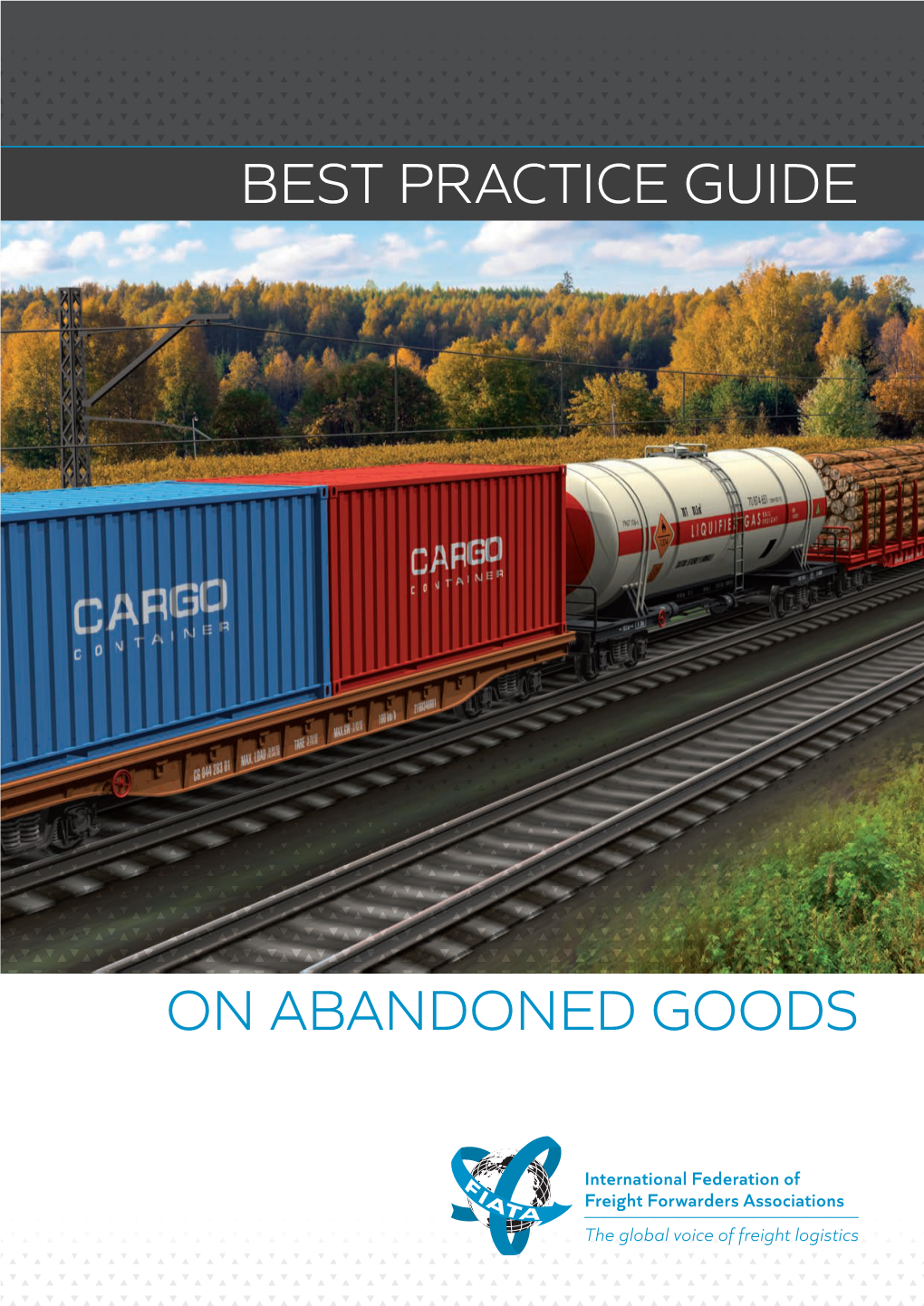 Best Practice Guide on Abandoned Goods Introduction