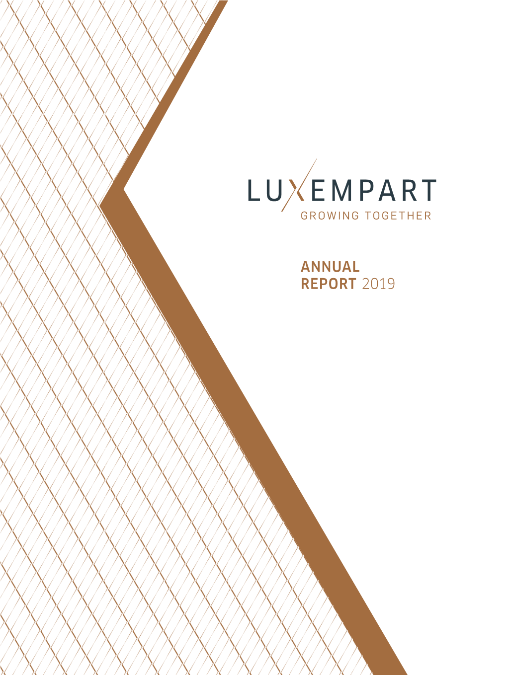 Annual Report 2019