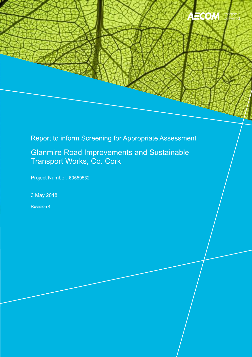 Report to Inform Screenings for Appropriate Assessment