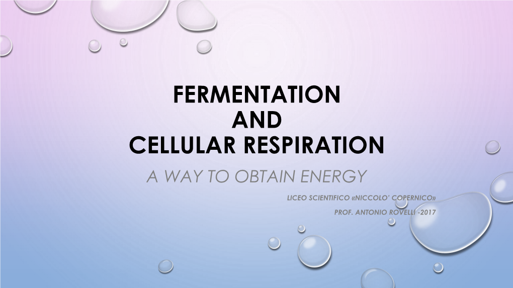 Fermentation and Cellular Respiration a Way to Obtain Energy