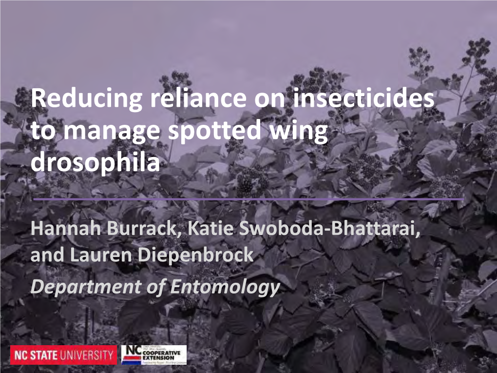 Reducing Reliance on Insecticides to Manage Spotted Wing Drosophila