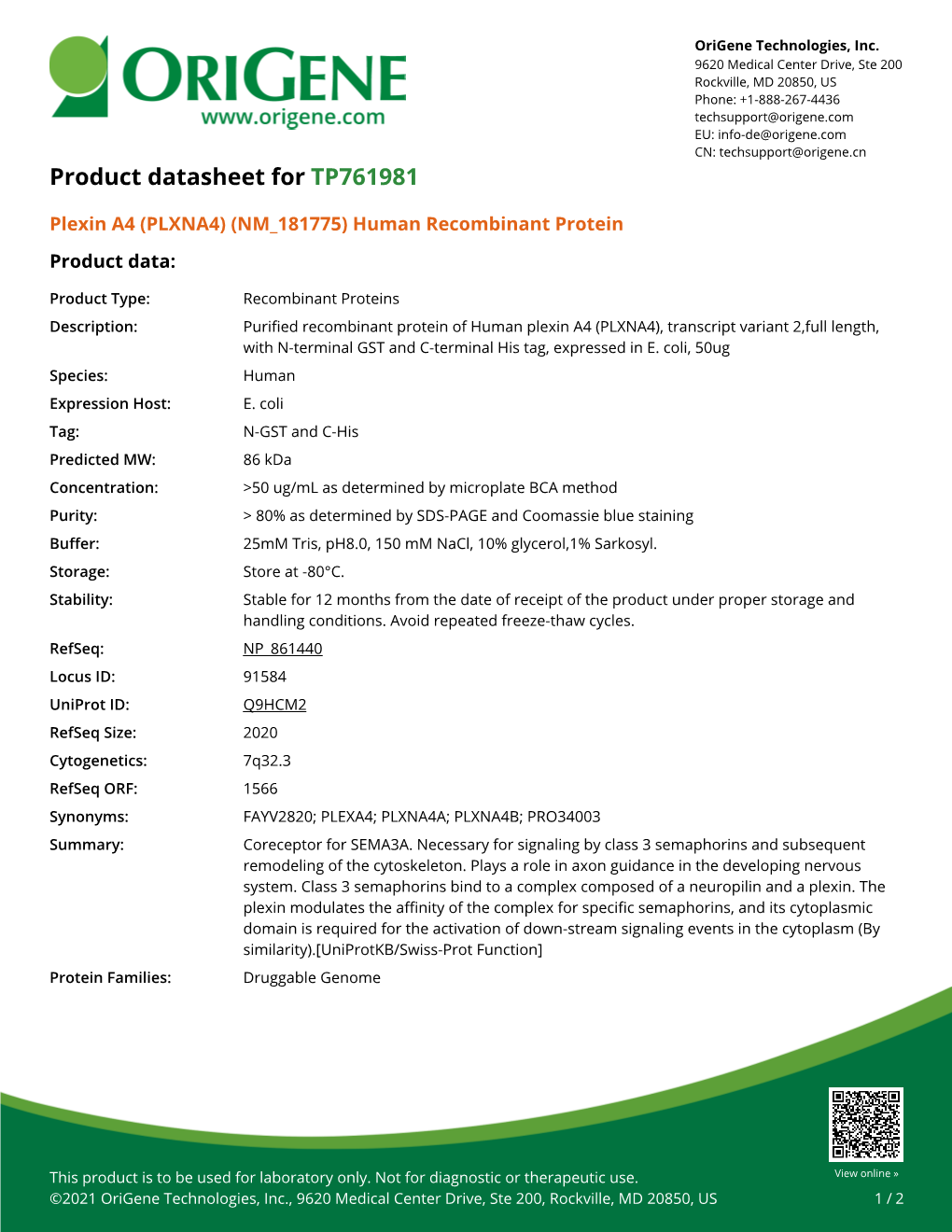 Plexin A4 (PLXNA4) (NM 181775) Human Recombinant Protein – TP761981 | Origene