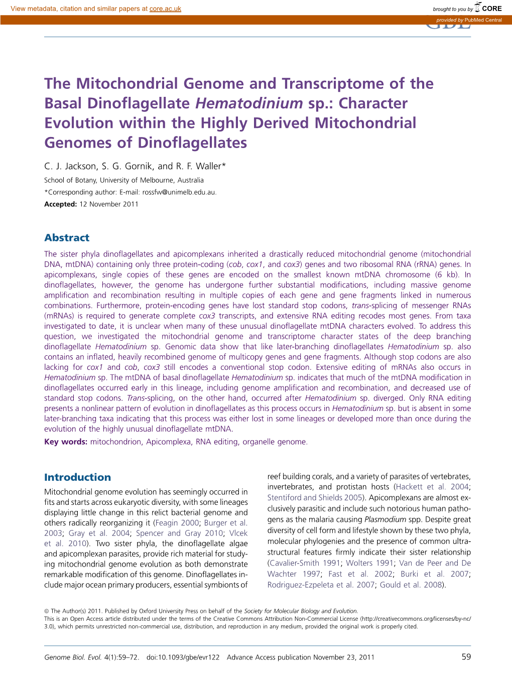 The Mitochondrial Genome and Transcriptome of the Basal