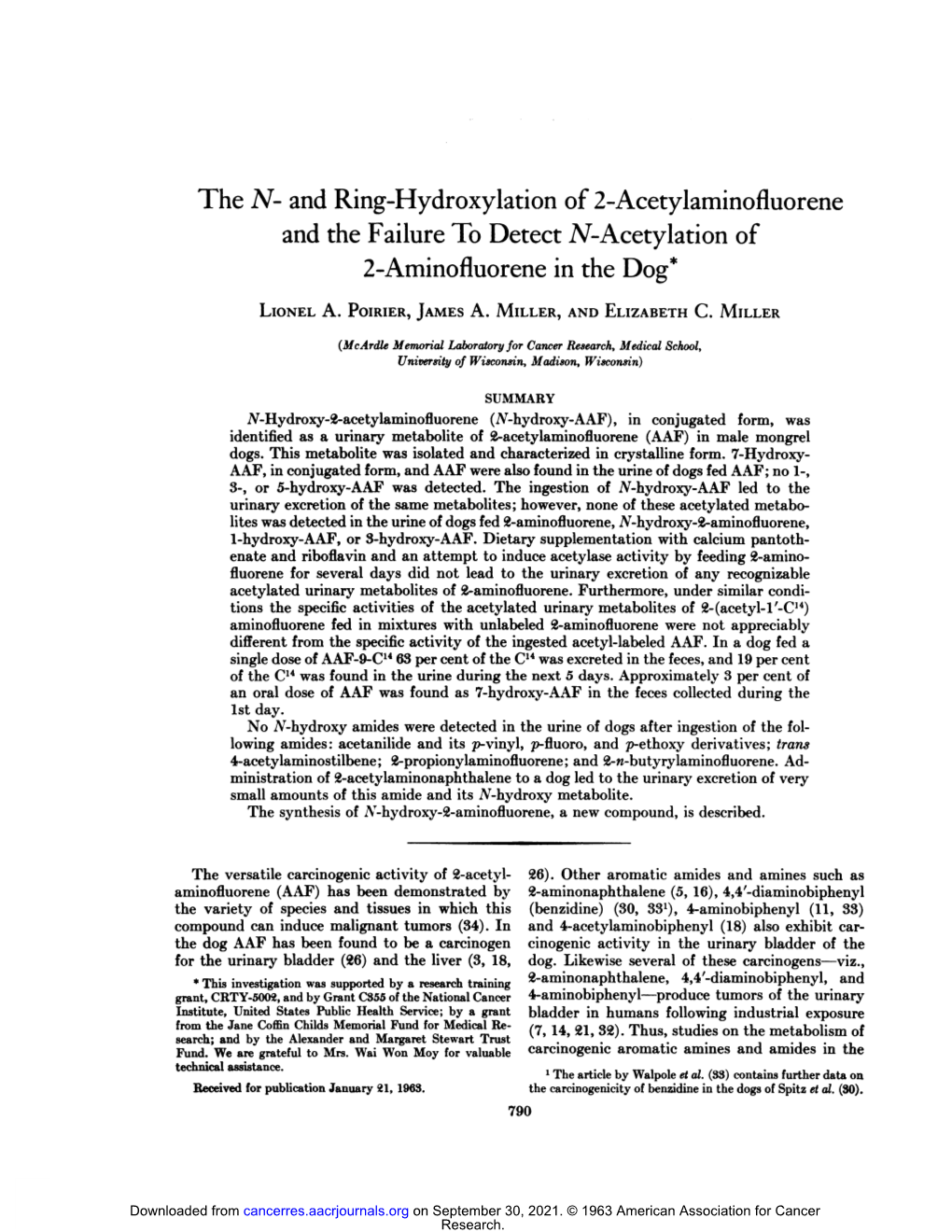 And the Failure to Detect N-Acetylation of 2-Aminofluorene in the Dog*