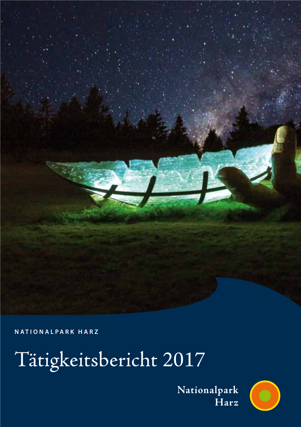 Tätigkeitsbericht 2017