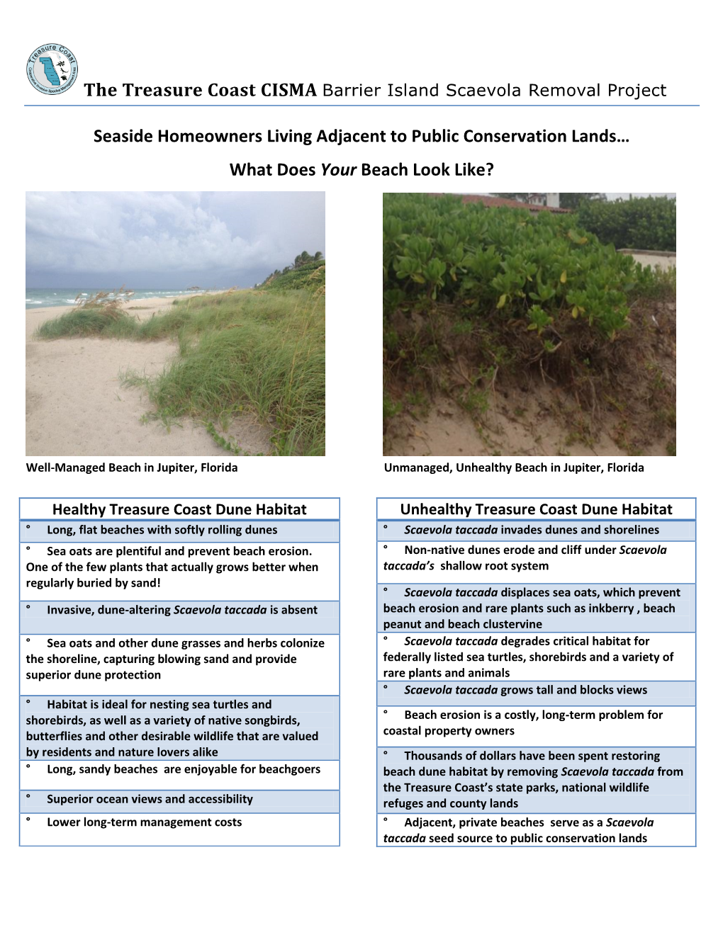 TC CISMA Barrier Island Scaevola Removal