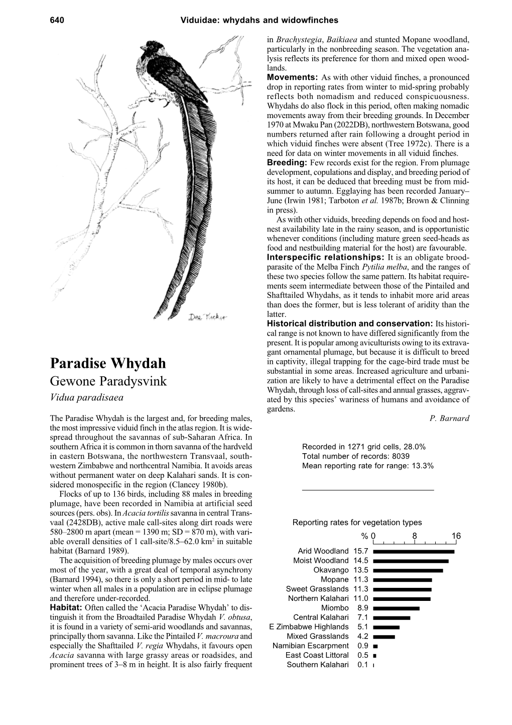 Paradise Whydah Substantial in Some Areas