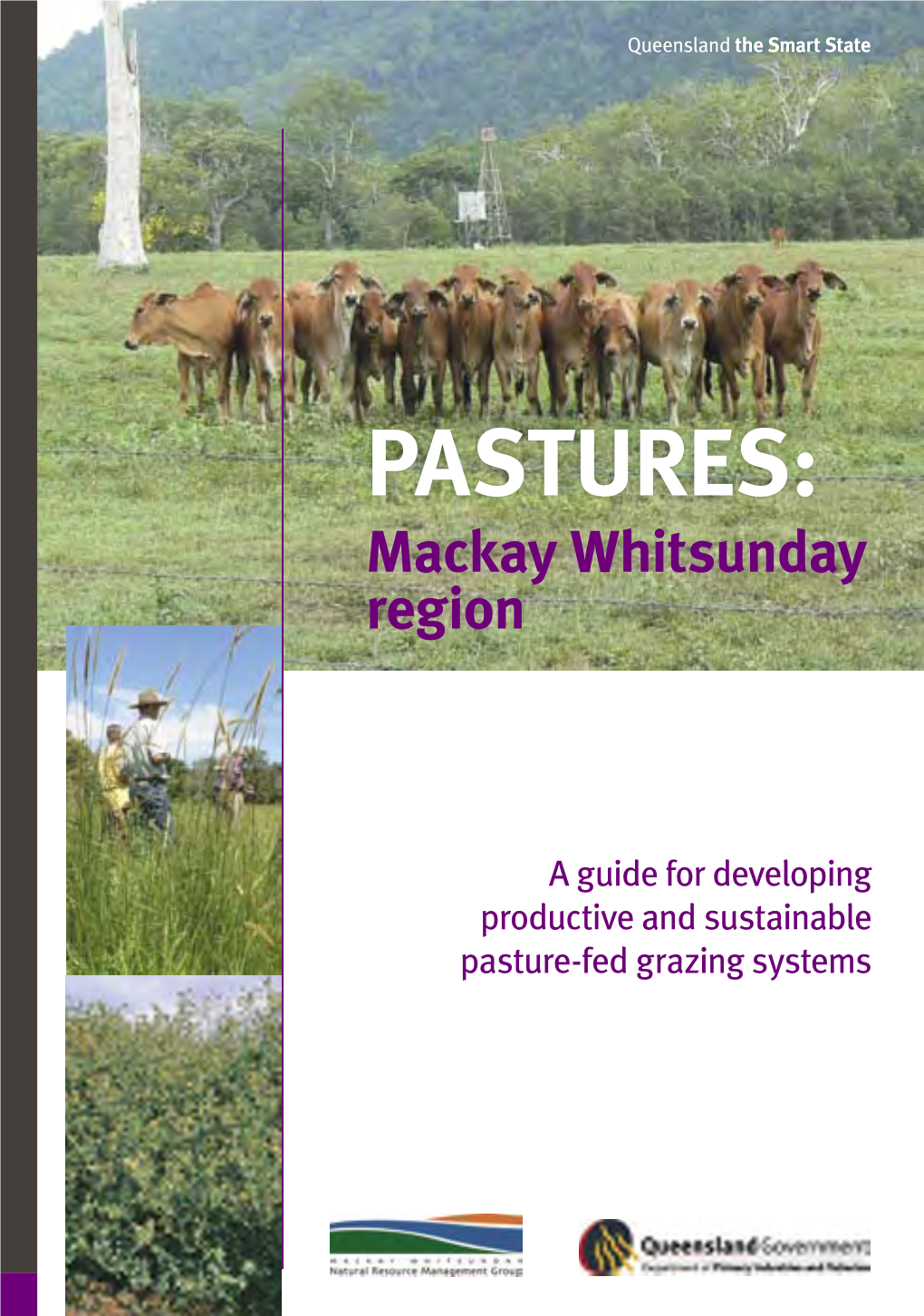 PASTURES: Mackay Whitsunday Region