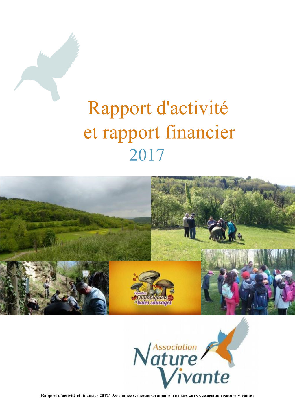 Rapport D'activité Et Rapport Financier 2017