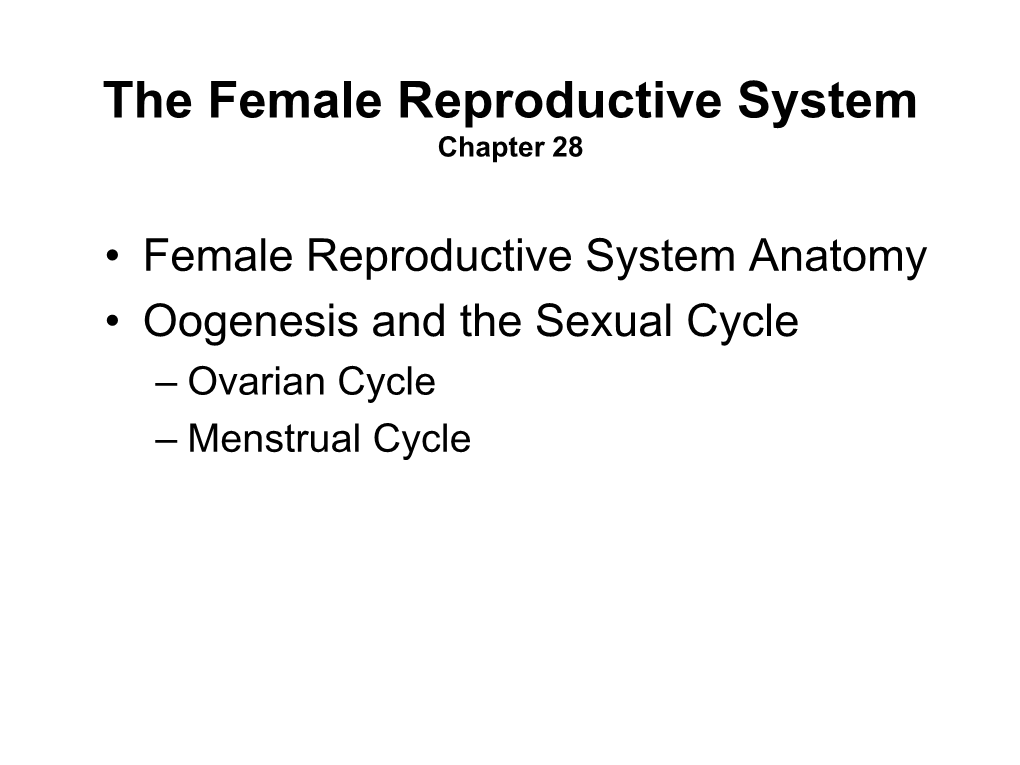 Female Reproductive System Chapter 28