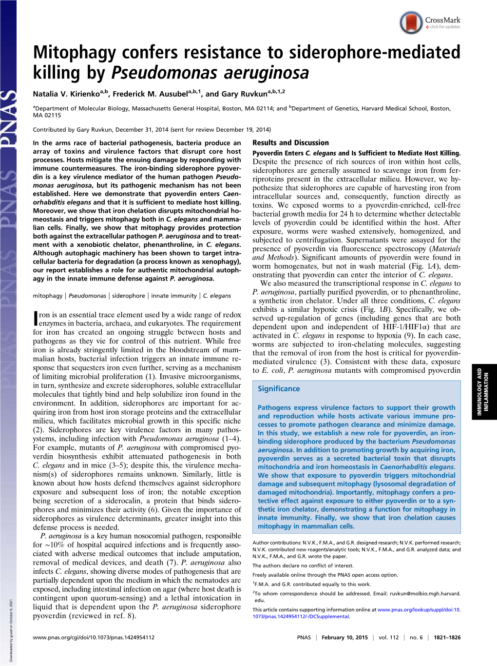 Mitophagy Confers Resistance to Siderophore-Mediated Killing by Pseudomonas Aeruginosa