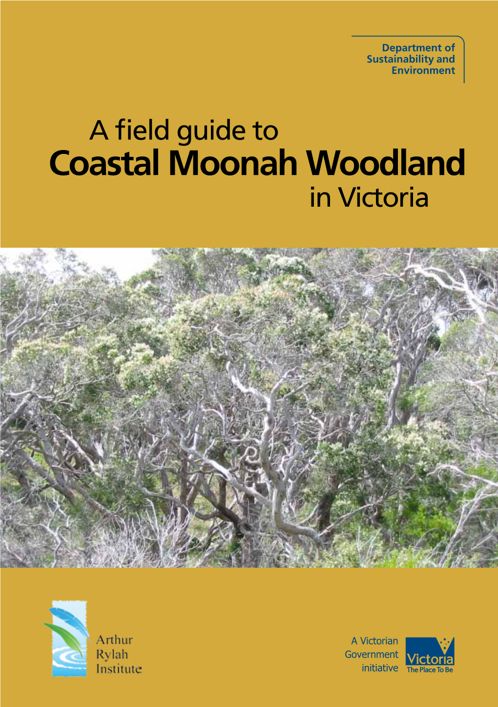 Coastal Moonah Woodland in Victoria