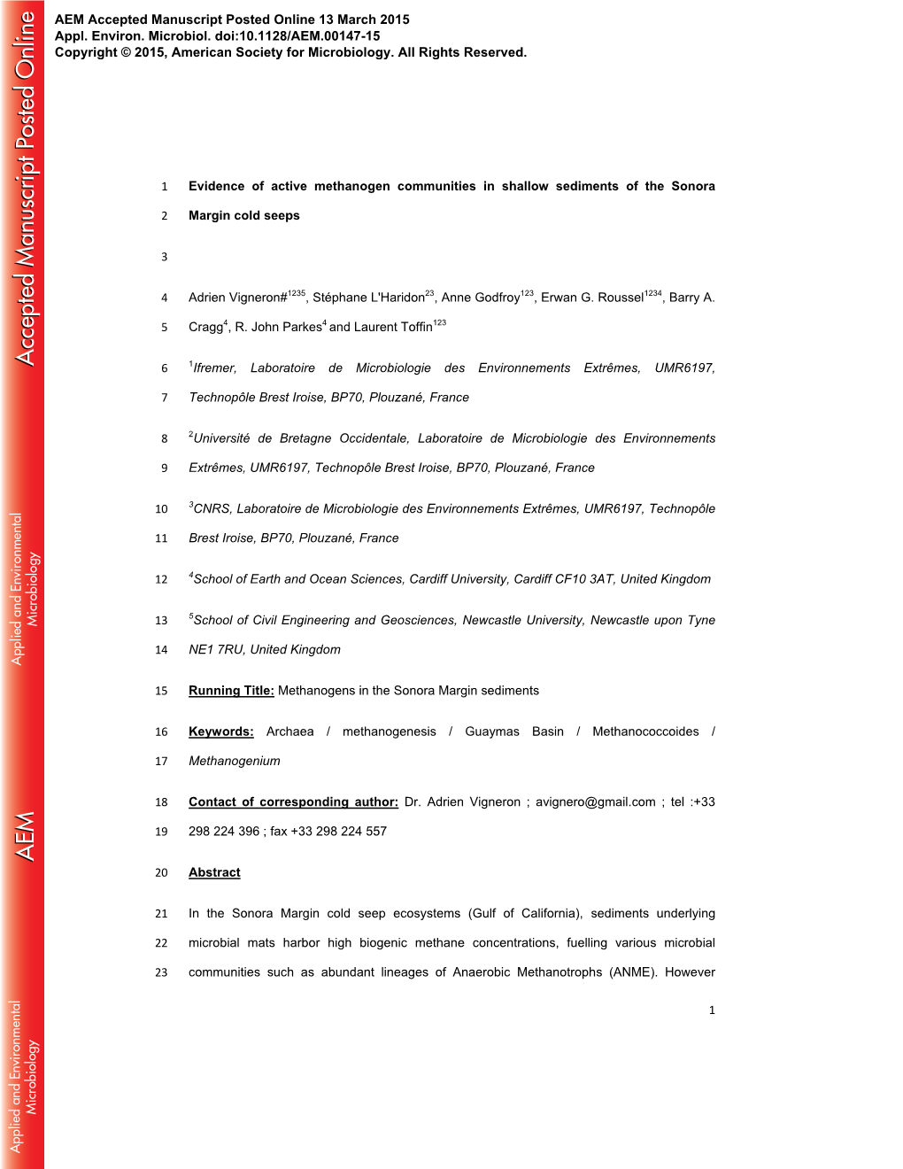 Evidence of Active Methanogen Communities in Shallow Sediments of the Sonora